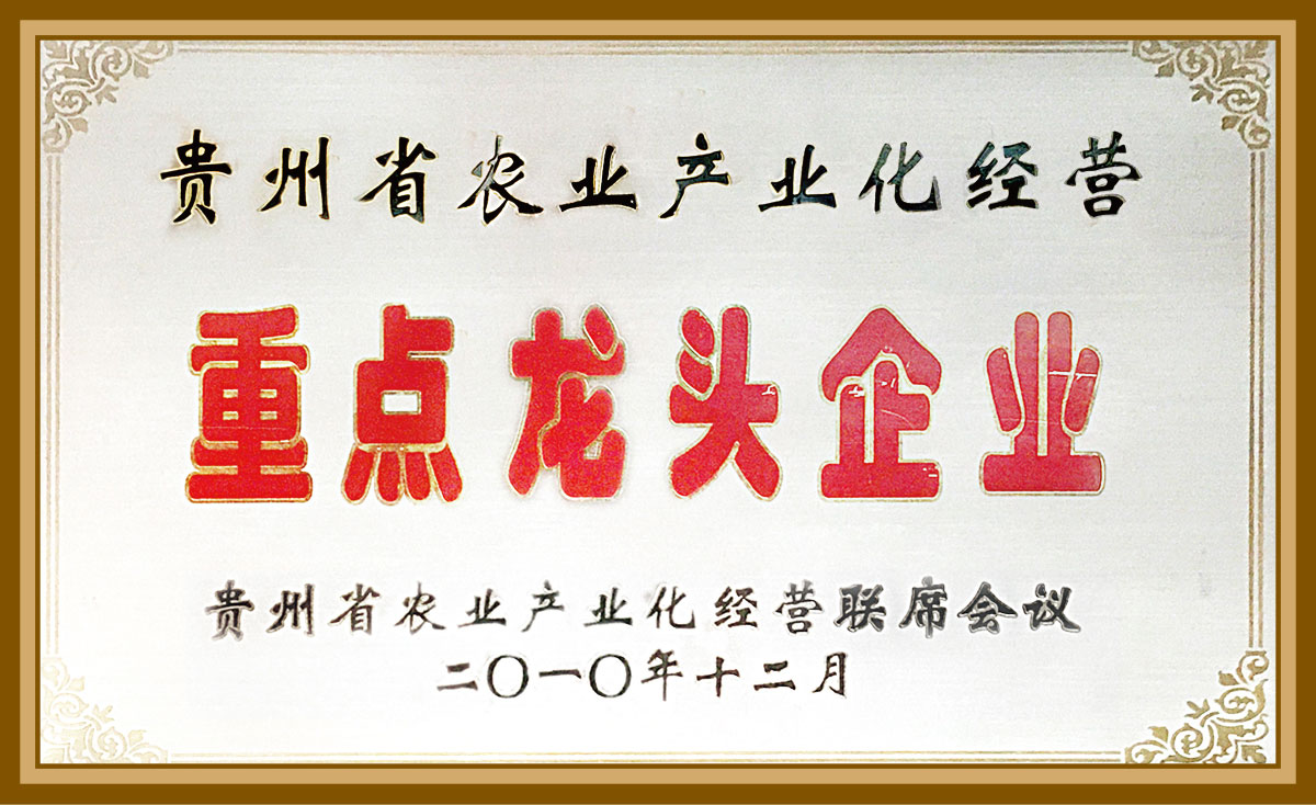 貴州省農(nóng)業(yè)產(chǎn)業(yè)化經(jīng)營重點企業(yè)2010.12